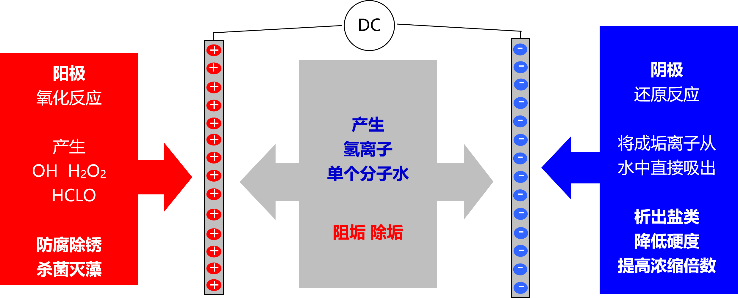 电化学除垢设备工作原理：不止除垢防腐，更杀菌抑藻